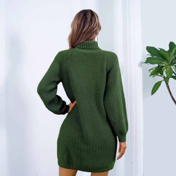 Winter Turtleneck Long Sweater Dress - Image 8